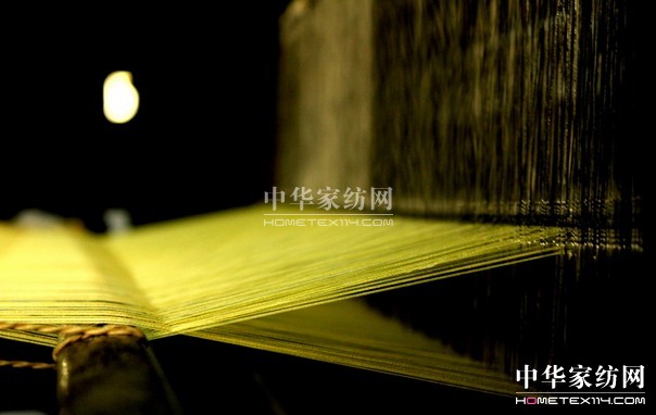 江西省繭絲綢協(xié)會(huì)成立大會(huì)南昌召開(kāi)