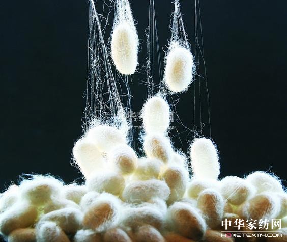 家紡面料介紹——絲