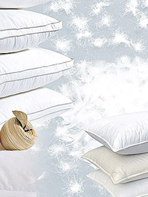 秋冬熱點(diǎn)羽絨家紡四大品牌