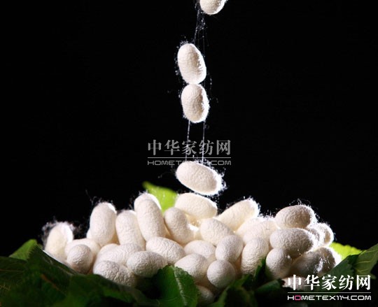 皇后“蠶絲被”呵護人體的第二層肌膚