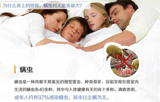 極度潔凈,就愛沒有螨蟲的被子