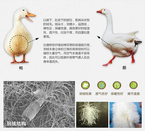 歐派家紡:反季特賣,怎樣選購(gòu)正品的羽絨被