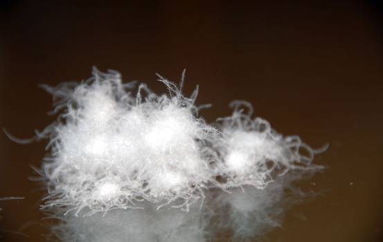 歐派家紡:反季特賣,怎樣選購正品的羽絨被