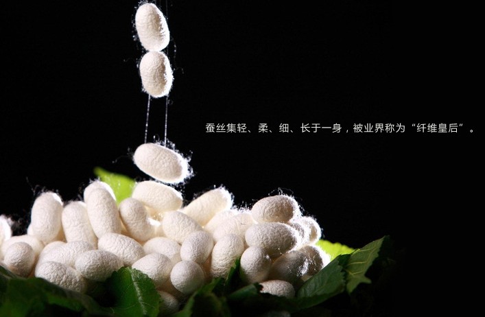 蠶絲被的價值所在