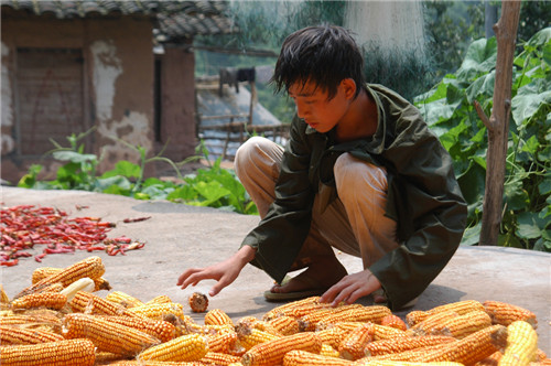 品質(zhì)58周年夢潔家紡與全球愛家人一同夢想