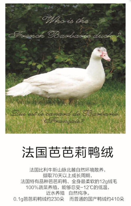 品質(zhì)58周年夢潔家紡與全球愛家人一同夢想