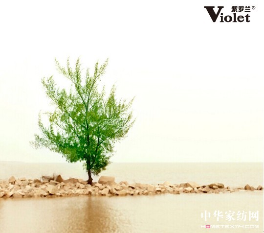 紫羅蘭家紡:打響生機革命第一槍