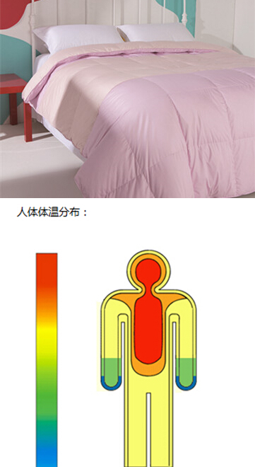 艾萊依家紡開發多款高科技羽絨被