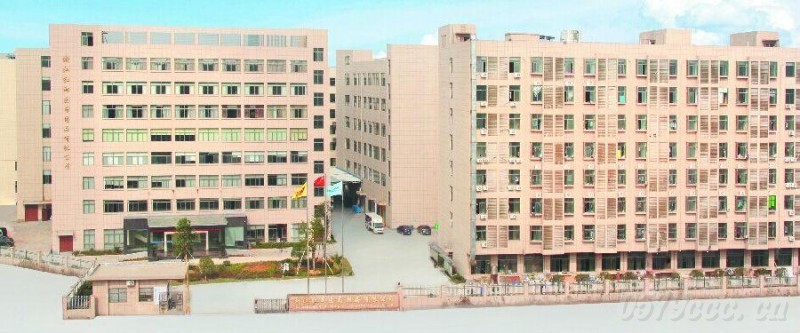 紅雨醫(yī)藥——參加義博會(huì)帶來(lái)新思路