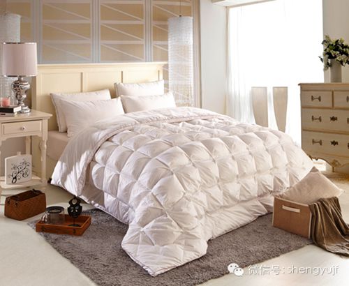 盛宇家紡秋冬新品“被你所愛”被芯系列