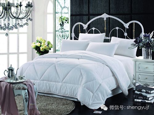 盛宇家紡秋冬新品“被你所愛”被芯系列