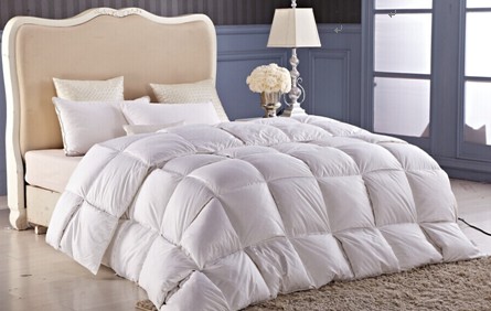 紫羅蘭歲末特賣狂歡“惠”,說好的不見不散!