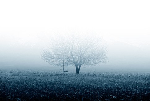 紫羅蘭•詩人的靈魂:愛,就是純粹、干凈