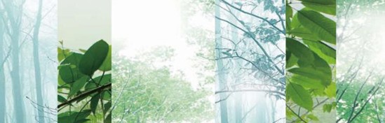 紫羅蘭生機家紡,還原巴馬原生態(tài)平衡環(huán)境