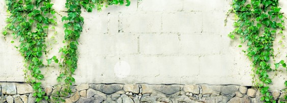 盛放·堂皇家紡2016春夏新品訂貨會圓滿完成