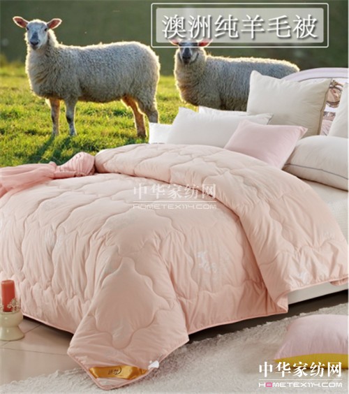 遠(yuǎn)夢(mèng)家紡:“被”戰(zhàn)世紀(jì)寒潮