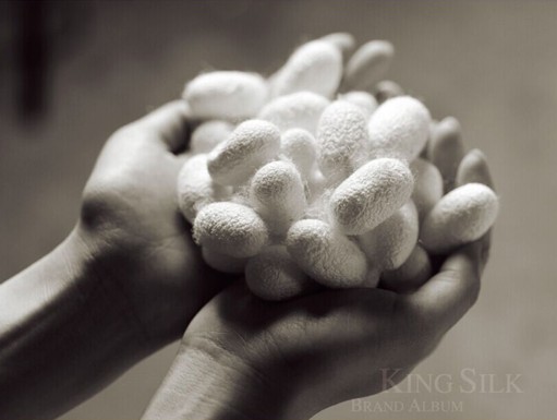 縱使歲月荏苒 錢皇仁愛情懷永不退轉