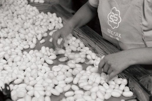 vʹqX(qin)ʐ(i)D(zhun)