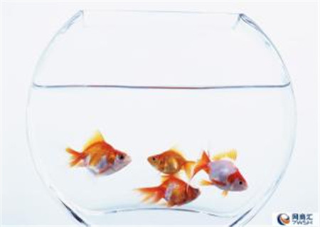 堂皇生活:家居用品除濕,過個“干爽”梅雨季