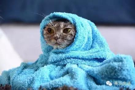 美浴生活:毛巾可以將就,毛巾也可以講究!