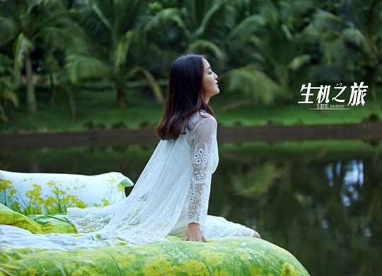 紫羅蘭:融匯深海靈氣,擁抱天堂之美——VIOLET海洋露