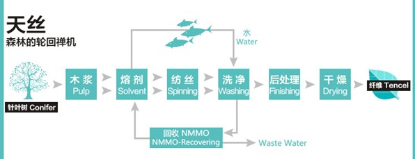 紫羅蘭:融匯深海靈氣,擁抱自然之美