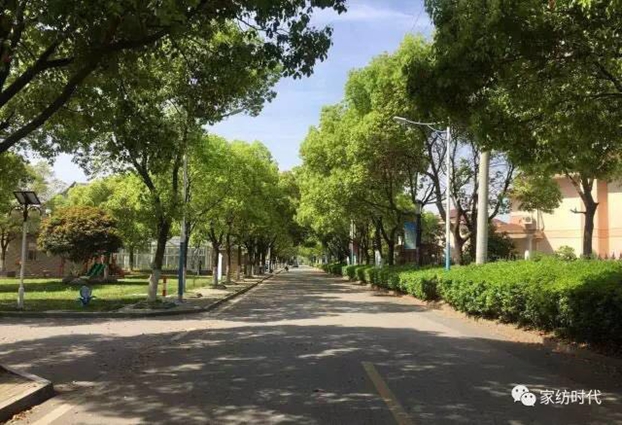 lfyҼIc߿Ƽo mLܻ°D