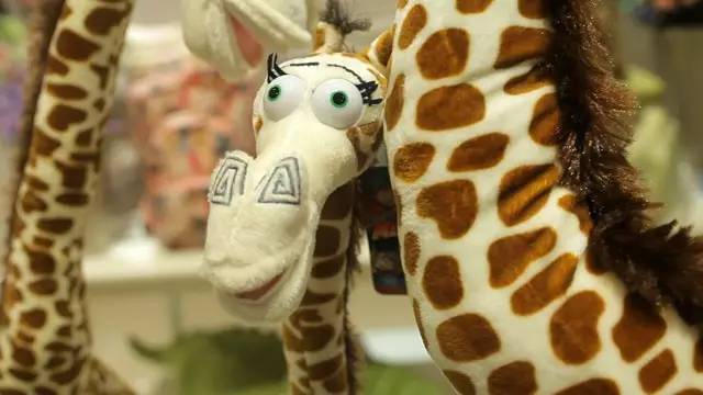 風靡衡陽的凱盛家居生活館新店開業!等不及的想去!