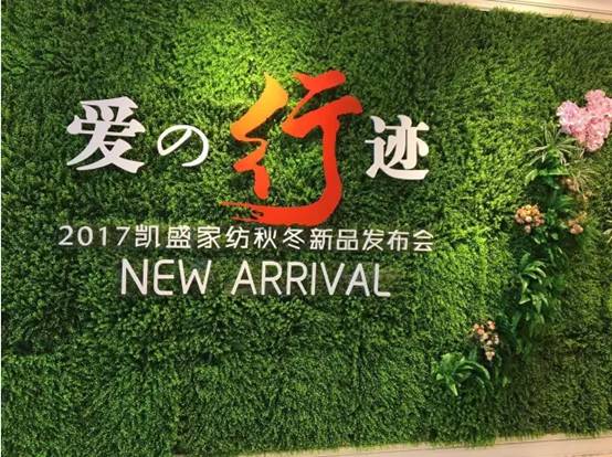 PʢҼ۵E2017ﶬƷlAMYɣsҫ35꣡