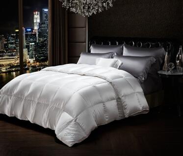 博洋家紡全面升級(jí)的速度與激情