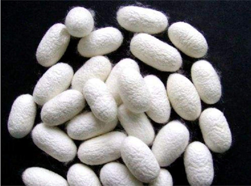 ͬǽzW_{ʲôfR