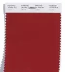 【干貨】香港本色2018流行色發布