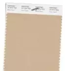 【干貨】香港本色2018流行色發布