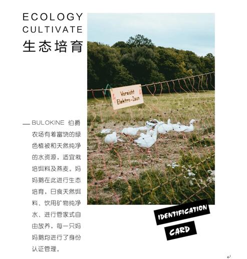 博洋家紡波蘭媽媽絨,致敬輕奢生活!