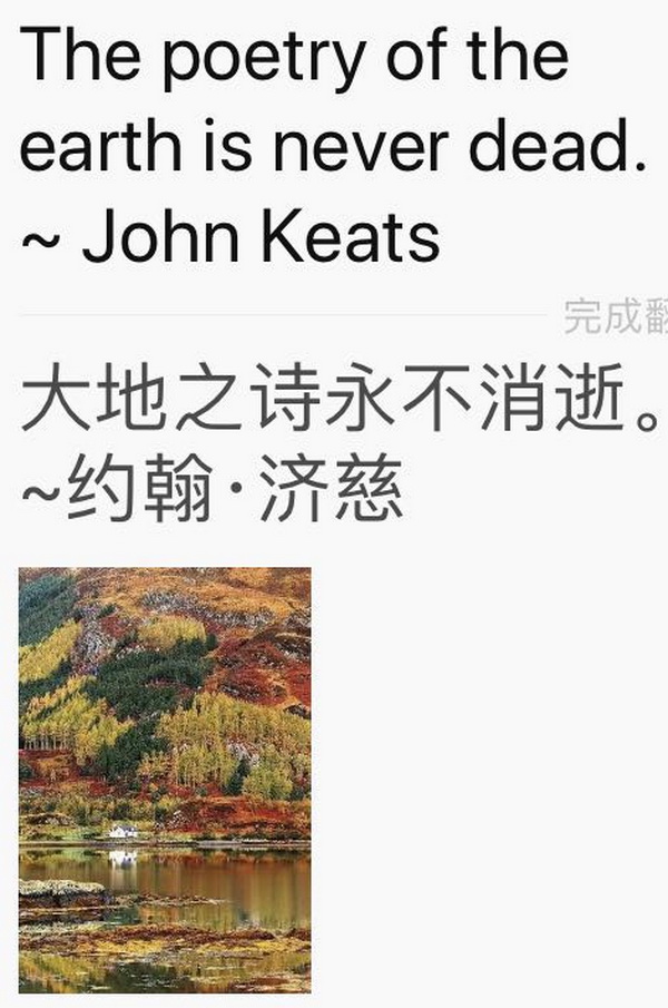 С[TDȦcҪ󲻿ƽ