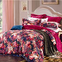 ҼҼJT2382-LaƷDƬչʾ