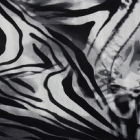 �����������]ӡ������