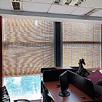 ɶ񺟡ɶ񺟡ɶ񺟶ߴ