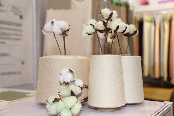 չȇHЈИIaIģ2022ЇBd򴺼Ļ